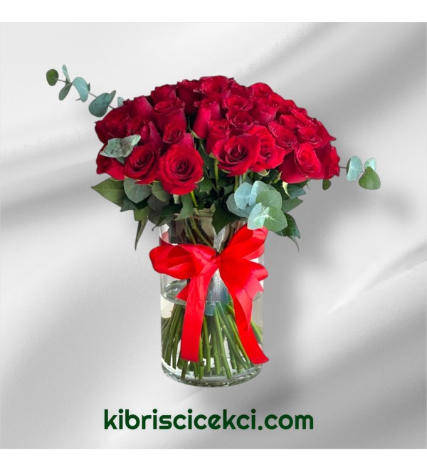 Vazoda 33 Kırmızı Gül